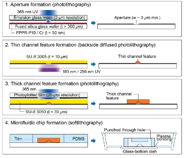 Figure 2. Fabrication of microfluidic chip with thin and thick mixed-height microchannels