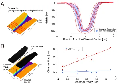 Figure 3. The size of PDMS channel features transferred from SU-8 photoresist patterned with diffused 185nm/254nm UV from backside