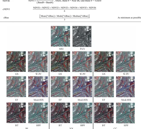 Figure 3. Six PAN-sharpened images of SanF subset using NN (nearest neighbourhood), BI (bilinear interpolation) and CC (cubic convolution) resampling methods