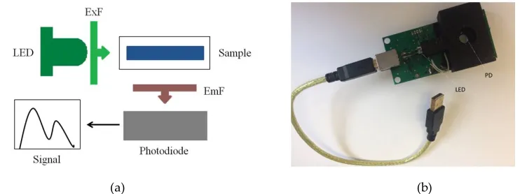 Figure 1(b).  
