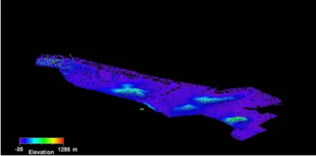 Figure 2. QuickBird PAN-sharpened satellite image over the study area.  
