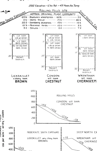 FIGURE 3. Comparison 