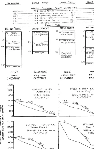 FIGURE 4. Yield behavior of four widely separated sites having original plslllt ctimmunities dominated by Idaho fescue