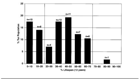 Figure 3.Percentage mortality by percentage life-span categories forCaucasian tur recovered from Ortvale Klde Layers 6 and 7 (n p 57).Percentage life span ! 20 p young; 20–70 p prime age; 1 70 p old.