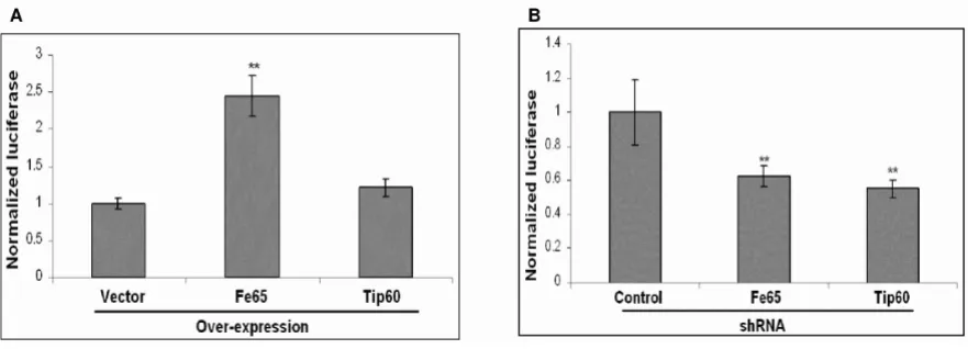 Figure 8C).this experimental approach using pharmacologic and