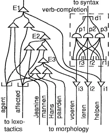 FIGURE 2: Fragment of the network for Dutch 