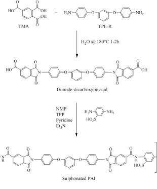 Figure 1. Synthesis scheme of sulphonated polyamideimide 
