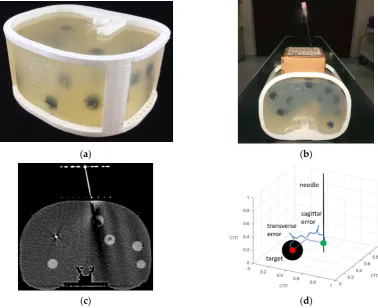 Figure 3. (a) 3D printed abdominal phantom for quantification of the lesion targeting error