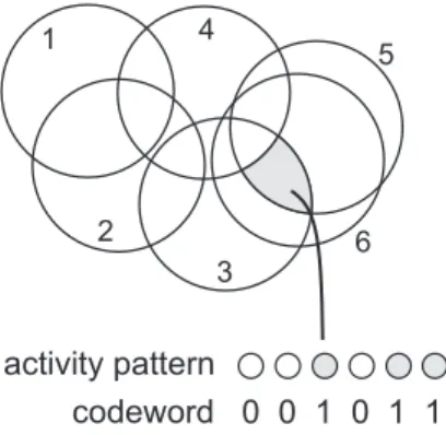 Figure 3: Two-dimensional receptive fields for six neurons. The RF code C has a codeword for each overlap region