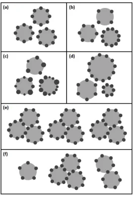 Figure 1. Illustration of the different aggregation models, where grey spheres represent bubblesClusteringpolydisperse cells aggregate on monodisperse bubbles; (d)and dark spheres correspond to microorganisms: (a) Averaged: several monodisperse cells aggregateon monodisperse bubbles; loading of bubbles is averaged; (b) Not Averaged: several monodispersecells aggregate on monodisperse bubbles; loading of bubbles is distributed; (c) Poly.Cells: several Poly.Bubbles: several monodisperse cellsaggregate on polydisperse bubbles; (e) Clustering Averaged: formation of aggregates with multiplemonodisperse bubbles and monodisperse cells; bubble and cell number per cluster is averaged; (f): formation of aggregates with multiple monodisperse bubbles and monodisperse cells;bubble and cell number per cluster is distributed