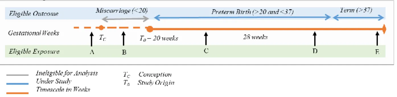 Figure 4.1. Survival analysis framework detailing subject eligibility, exposure and outcome  relative to gestational weeks for Aim 1