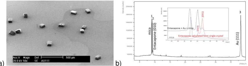 Figure 4 shows the visualisation of the intermolecular packing present within the crystallographic unit cell56 for the surface nucleated form A highlighting the (010) plane which appears to be the preferred crystal orientation for binding to the gold templ
