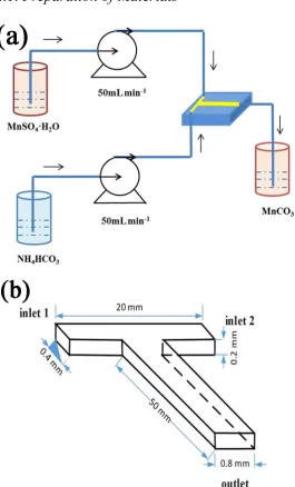 Fig. 1. The experimental setup for the preparation of MnCO3 (a) and the 