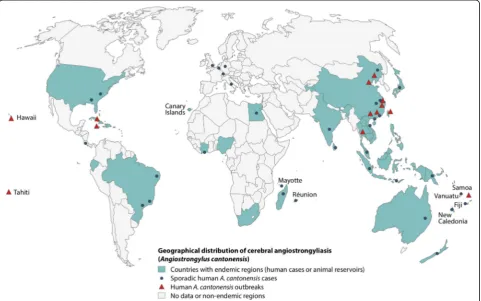 Fig. 1 Geographical distribution of cerebral angiostrongyliasis. Legend: Map created by Rosalie Zimmermann, adapted from Wang QP et al.Lancet Infect Dis 2008;8:621–630 and Barratt J et al
