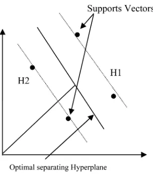 Figure 3. Support vector machine. 