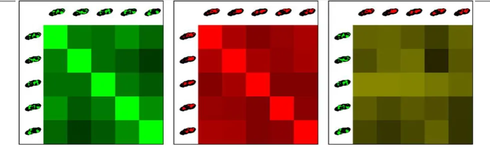 Fig. 8 left and centre) where the diagonal elements have the maximum brightness.  This is not necessarily the case when images of different channels are compared (as in Fig