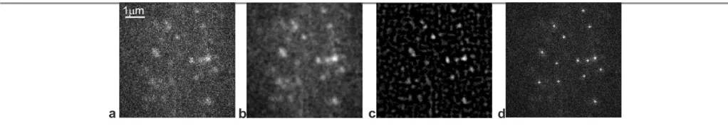 Fig. 4  Particle spot detection (a) Original fluorescence microscopy image with dynamical particle; (b) Smoothing filter image from template filter by Laplace of Gaussian (LoG); (c) Greyscale image based on successive geodesic morphological operations; (d)