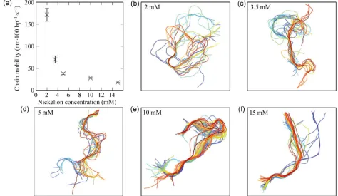 Figure 3 (a) DNA molecule translational mobility (nmdecrease in mobility is associated with an increasing NiExample chain vector evolution profiles for (b) 2 mM, (c) 3.5 mM, (d) 5 mM, (e) 10 mM, and (f) 15 mM Ni·100 bp–1·s–1) as a function of Ni2+ surface 