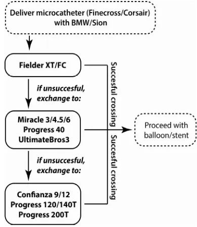 Table 1. Overview of applied guidewires during PCI, based on guidewire tip load. 
