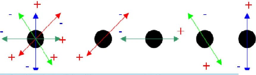 Figure 7. Multidimensional equilibrium of bipolar quantum agents (adapted from [16]).                                                                                     