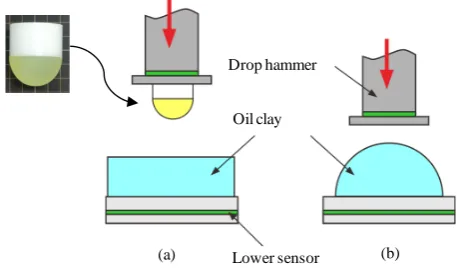 Figure A1(a) shows a urethane rubber hemisphere (rubber hardness: 90, diameter: 40 mm) fixed to the bottom of the drop hammer and a flat oil clay plate (T = 50 mm)