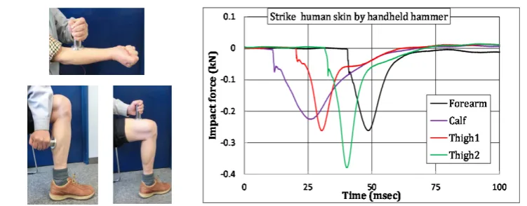 Figure 14. Human skin was struck by a hand-held hammer. The measured impact force wave-forms are shown on the right
