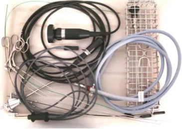 Figure 1. Endoscopic view of a cystic neoplasm. Selected areas were sampled for histological analy-sis
