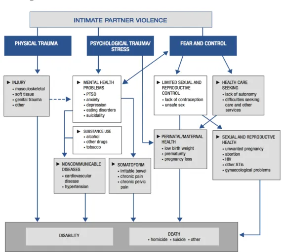 Figure 2.1: Health Effects of Intimate Partner Violence  