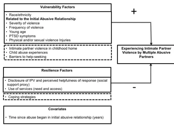 Figure 3.1: Analytic Conceptual Model - Experiencing IPV by MAPs 