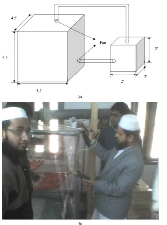 Figure 1. (a) Controlled atmosphere plant; (b) Fresh tomato in developed controlled atmosphere plant