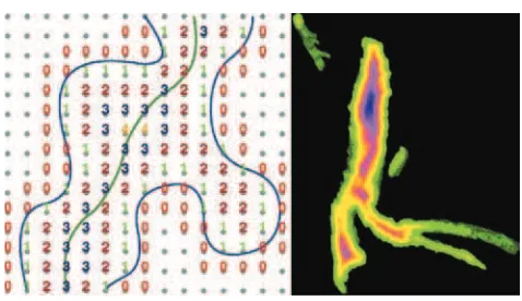 Fig. 2. Examples of DFB shown in 2D slices. Left: explicit DFB values;right: an aorta DFB ﬁeld visualized through a color map (image courtesyof Bitter et al