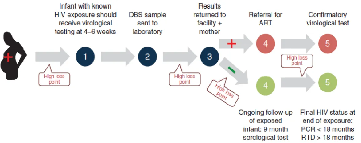 Figure 2. Early Infant Diagnosis Testing Cascade 