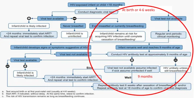 Figure 4. WHO early infant HIV testing algorithm 