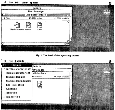 Fig. I: The level of the operating system 