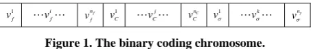 Figure 1. The binary coding chromosome. 