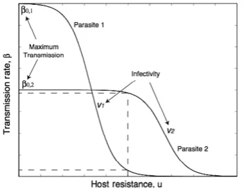 Figure 1 Illustration of the infection function used in the theoreticalmodel in equation (2)