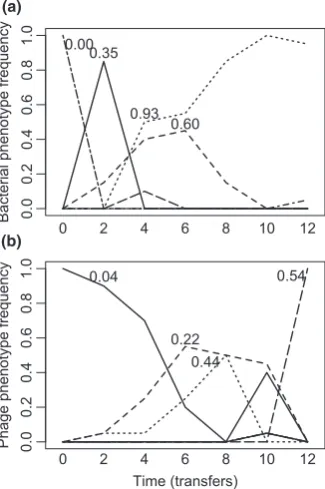 Figure 3 Temporal dynamics of different bacteria (a) and phage (b)phenotypes (based on cluster analyses with 80% similarity) of a singlecommunity evolved under low nutrient conditions