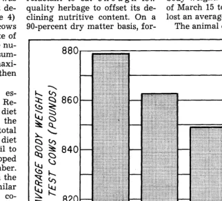 FIGURE 2. The five test cows lost an average 