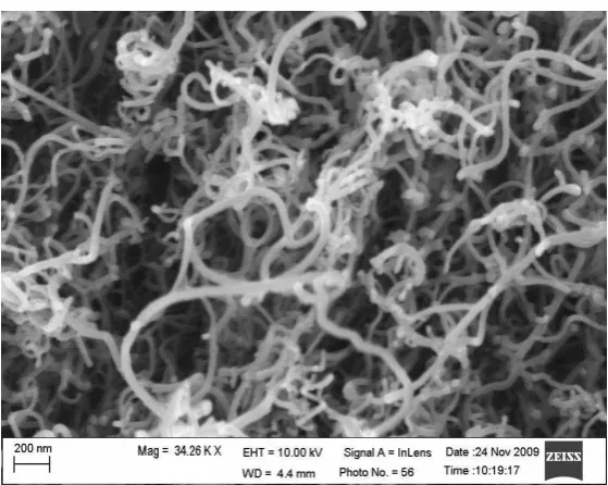 Figure 1  Morphological studies and network structure of MWCNT in nanopaper, SEM image 