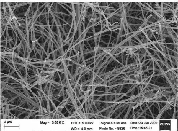 Figure 3  Morphology and network structure of CNFs was prepared based on non-ionic 