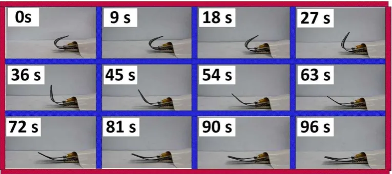 Figure 7  Electrically responsive behaviour of SMP composite with pure CNF buckypaper 