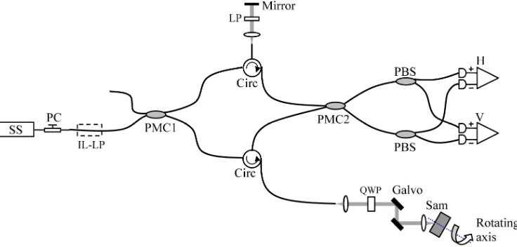 Fig. 1. Schematic diagram of the system. SS: wavelength-swept source, PC: polarization controller, IL-LP: in-line linear polarizer, PMC: polarization-maintaining coupler, QWP: quarter waveplate, PBS: polarization beamsplitter, H and V: balanced photo-detec