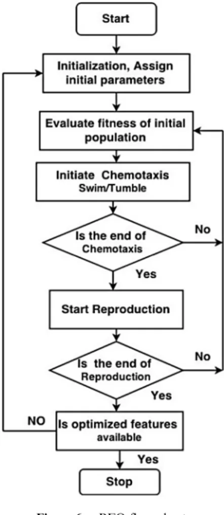 Figure 6 BFO flow chart.