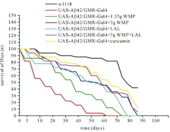 Figure 1. WMP and LAL partially rescues Drosophila melanogaster against Aβ42-induced initially mortality
