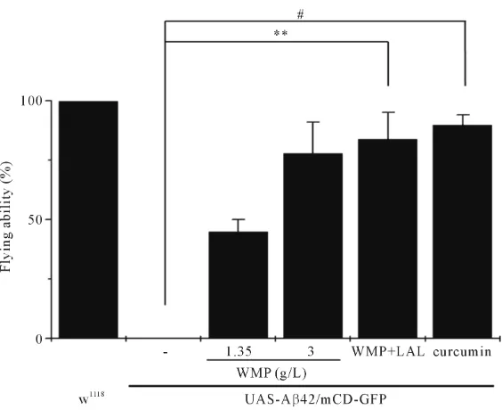 Figure 3. Comparison of flight ability between w1118 and Aβ42 flies with WMP, LAL or WMP and LAL supplementation
