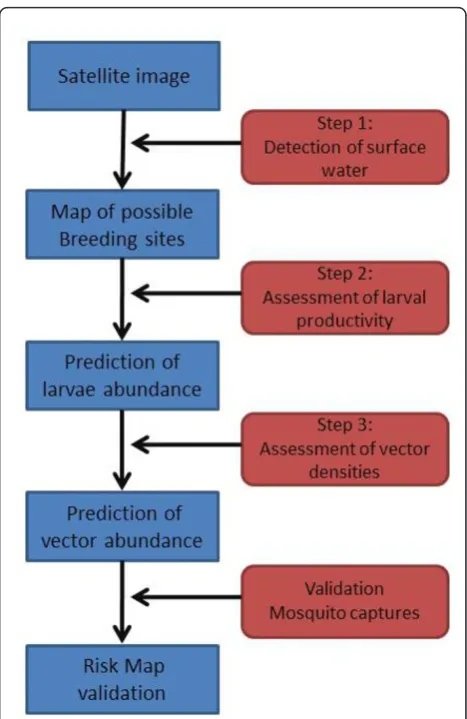 Figure 2 Technical steps within the approach of Tele-epidemiology.