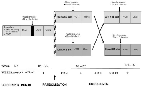 Figure 1. Trial protocol.