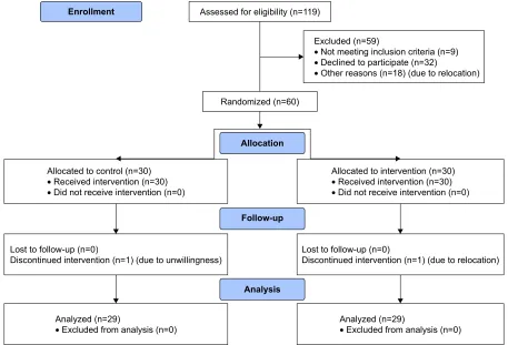 Figure 1 CONSORT flow diagram displaying the progress of all participants through the trial.