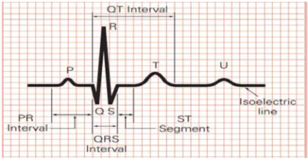 Figure 1.1: Typical ECG Signal 