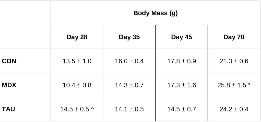 Table 4.1 Comparison of body mass between CON, MDX and TAU groups 